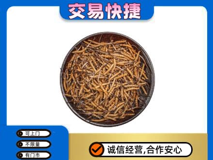 巴中巴州回收散虫草